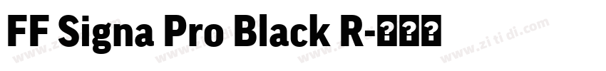 FF Signa Pro Black R字体转换